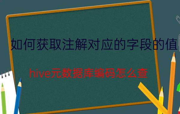 如何获取注解对应的字段的值 hive元数据库编码怎么查？